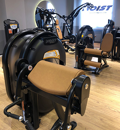 sorin fitness