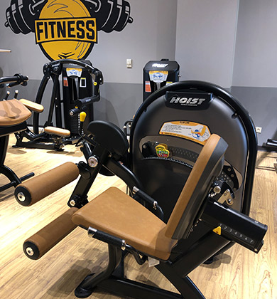 sorin fitness