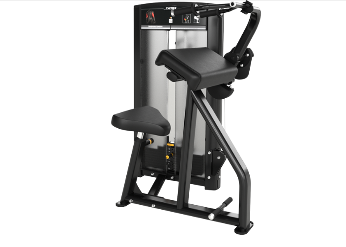 Triceps Extensiion