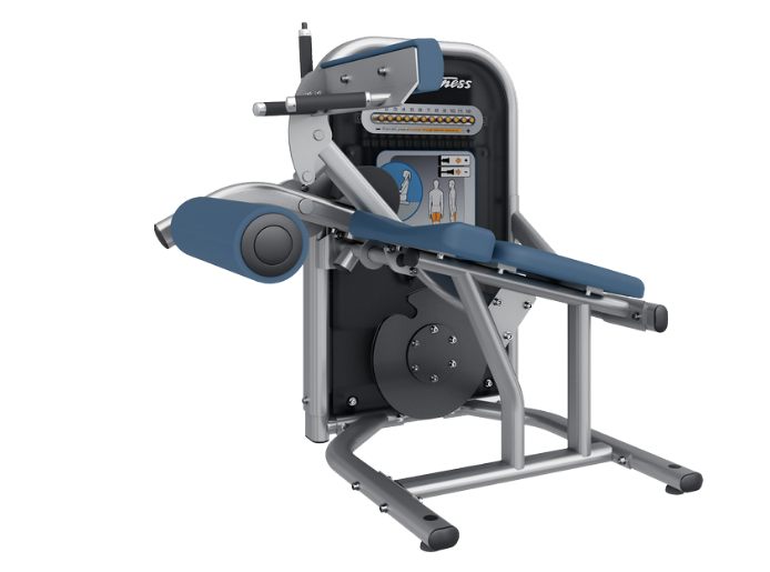 Seated Leg Curl
